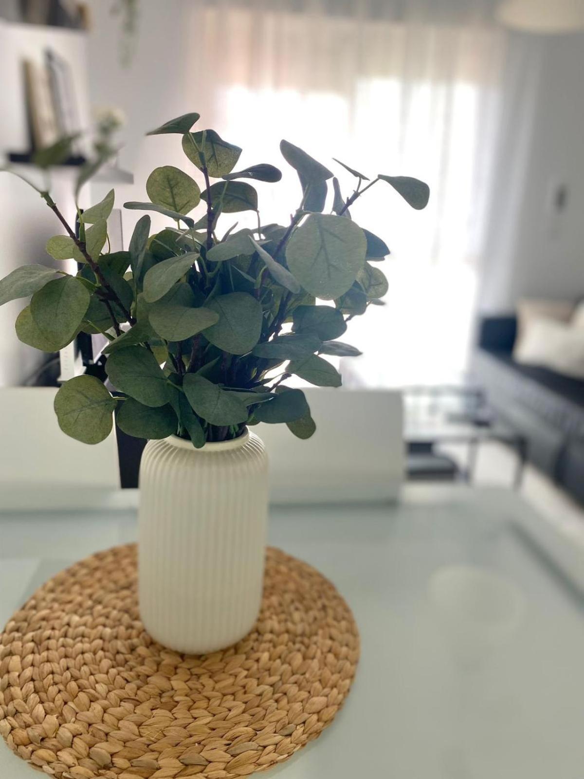 רוטה Apartamento Atlantico מראה חיצוני תמונה